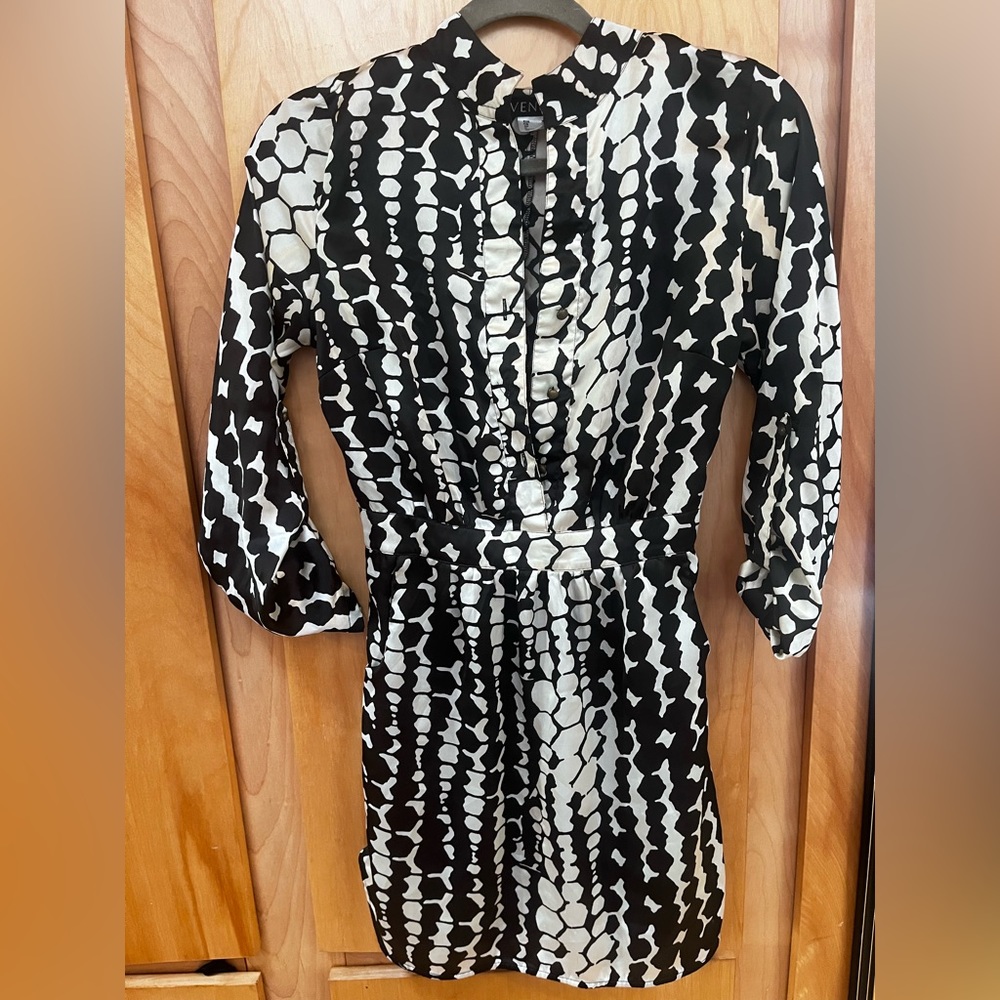 Silk Pattern Silver & Black Dress